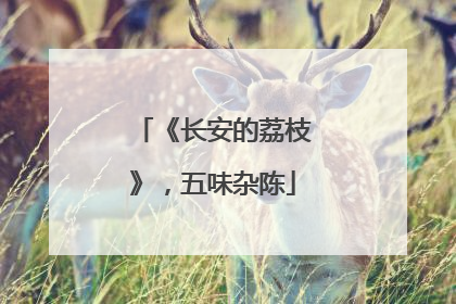 《长安的荔枝》，五味杂陈