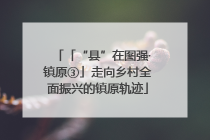 「“县”在图强·镇原③」走向乡村全面振兴的镇原轨迹