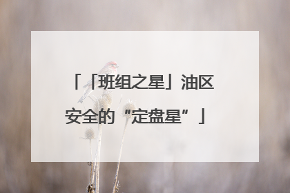 「班组之星」油区安全的“定盘星”