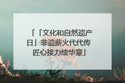 「文化和自然遗产日」非遗薪火代代传 匠心接力续华章