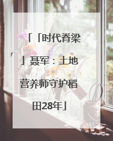 「时代脊梁」聂军：土地营养师守护稻田28年