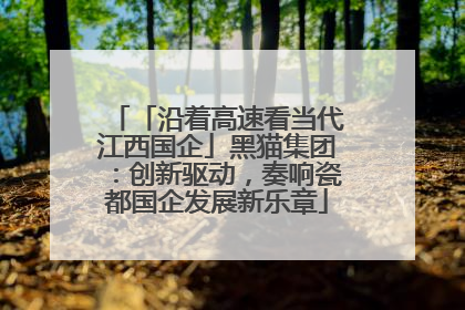 「沿着高速看当代江西国企」黑猫集团：创新驱动，奏响瓷都国企发展新乐章