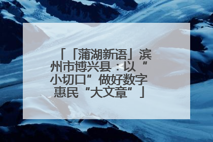 「蒲湖新语」滨州市博兴县：以“小切口”做好数字惠民“大文章”