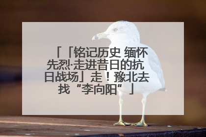 「铭记历史 缅怀先烈·走进昔日的抗日战场」走！豫北去找“李向阳”