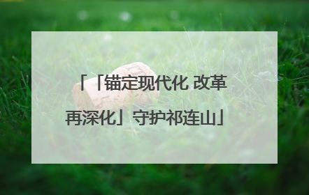 「锚定现代化 改革再深化」守护祁连山