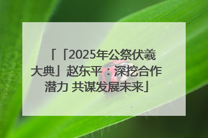 「2025年公祭伏羲大典」赵东平：深挖合作潜力 共谋发展未来