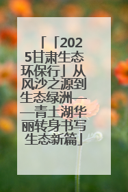「2025甘肃生态环保行」从风沙之源到生态绿洲——青土湖华丽转身书写生态新篇