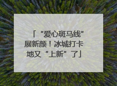 “爱心斑马线”展新颜！冰城打卡地又“上新”了