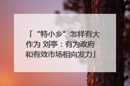 “特小乡”怎样有大作为 刘亭：有为政府和有效市场相向发力