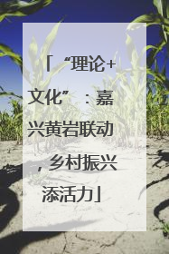 “理论+文化”：嘉兴黄岩联动，乡村振兴添活力