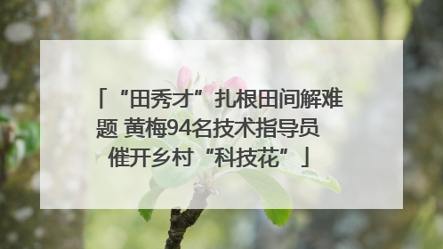 “田秀才”扎根田间解难题 黄梅94名技术指导员催开乡村“科技花”