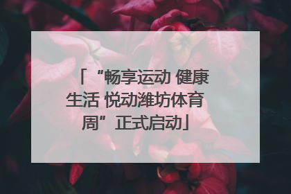 “畅享运动 健康生活 悦动潍坊体育周”正式启动