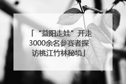 “益阳走娃”开走 3000余名参赛者探访桃江竹林秘境