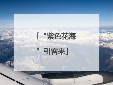 “紫色花海”引客来