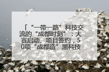 “一带一路”科技交流的“成都时刻”：大赛启动、项目签约，50项“成都造”黑科技吸引多国客商