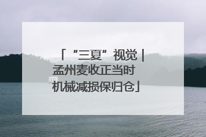 “三夏”视觉｜孟州麦收正当时 机械减损保归仓