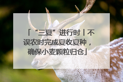 “三夏”进行时丨不误农时完成夏收夏种，确保小麦颗粒归仓