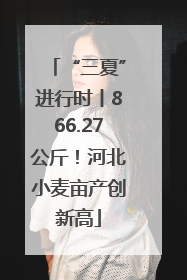 “三夏”进行时丨866.27公斤！河北小麦亩产创新高