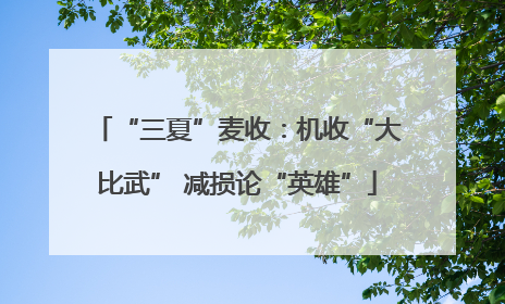 “三夏”麦收：机收“大比武” 减损论“英雄”
