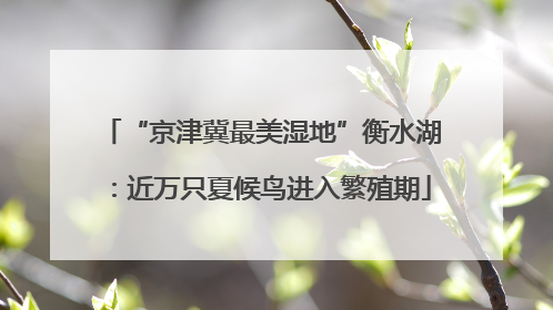 “京津冀最美湿地”衡水湖：近万只夏候鸟进入繁殖期