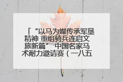 “以马为媒传承军垦精神 重组骑兵连启文旅新篇” 中国名家马术耐力邀请赛（一八五团站）暨重启骑兵连活动正式启动