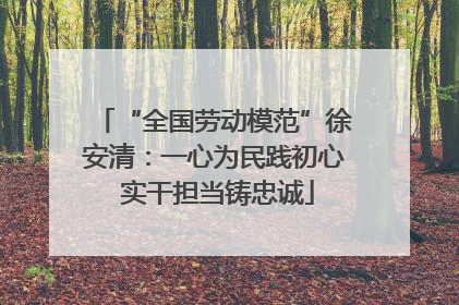 “全国劳动模范”徐安清：一心为民践初心 实干担当铸忠诚