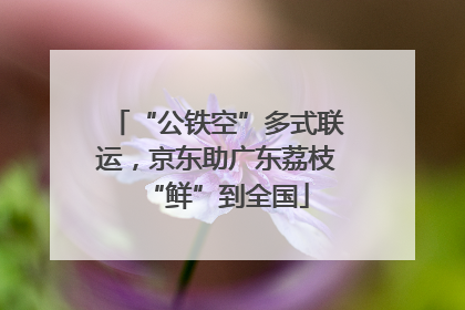 “公铁空”多式联运，京东助广东荔枝“鲜”到全国