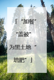 “加餐”“盖被” 为黑土地“增肥”