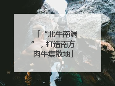 “北牛南调”，打造南方肉牛集散地