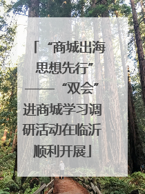 “商城出海 思想先行”——“双会”进商城学习调研活动在临沂顺利开展