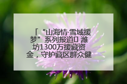 “山海情·雪域援梦”系列报道⑪ 潍坊1300万援藏资金，守护藏区群众健康“最后一公里”
