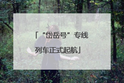 “岱岳号”专线列车正式起航