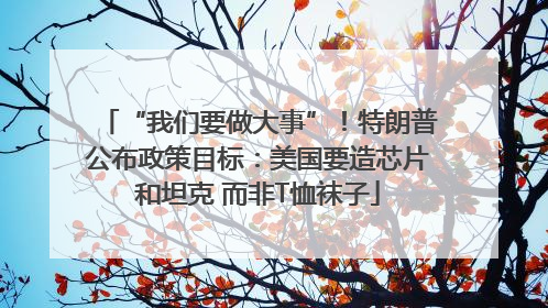 “我们要做大事”！特朗普公布政策目标：美国要造芯片和坦克 而非T恤袜子