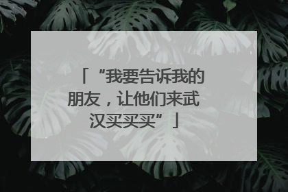 “我要告诉我的朋友，让他们来武汉买买买”