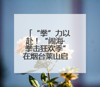 “拳”力以赴！“闹海·拳击狂欢季”在烟台莱山启幕