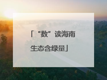 “数”读海南生态含绿量
