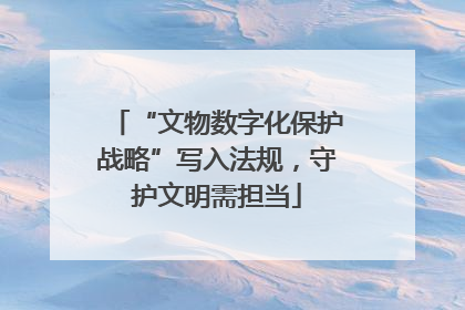 “文物数字化保护战略”写入法规，守护文明需担当