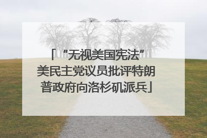 “无视美国宪法” 美民主党议员批评特朗普政府向洛杉矶派兵