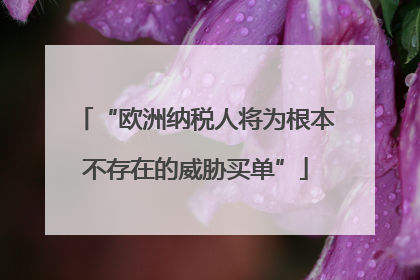 “欧洲纳税人将为根本不存在的威胁买单”