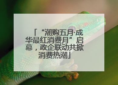 “潮购五月·成华最红消费月”启幕，政企联动共掀消费热潮