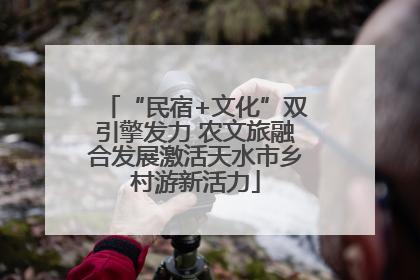 “民宿+文化”双引擎发力 农文旅融合发展激活天水市乡村游新活力