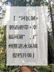 “河长制+碧道碧带+幸福河湖”，广州推进水环境提档升级