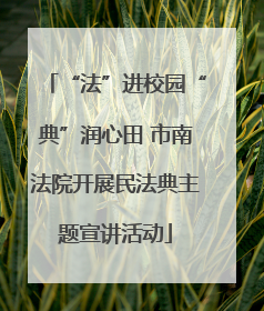 “法”进校园“典”润心田 市南法院开展民法典主题宣讲活动