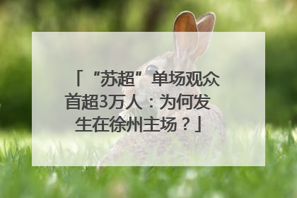 “苏超”单场观众首超3万人：为何发生在徐州主场？