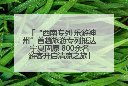 “西南专列·乐游神州”首趟旅游专列抵达宁夏固原 800余名游客开启清凉之旅