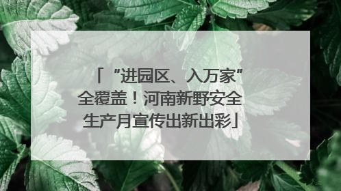 “进园区、入万家”全覆盖！河南新野安全生产月宣传出新出彩