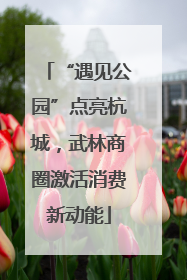 “遇见公园”点亮杭城，武林商圈激活消费新动能