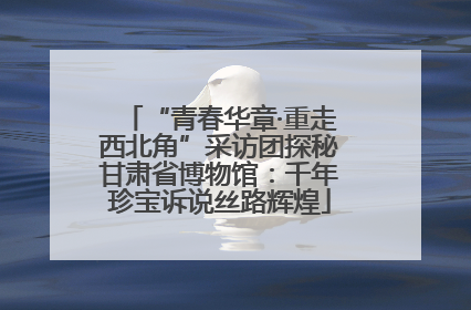“青春华章·重走西北角”采访团探秘甘肃省博物馆：千年珍宝诉说丝路辉煌