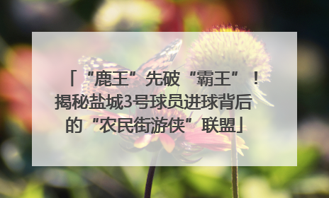 “鹿王”先破“霸王”！揭秘盐城3号球员进球背后的“农民街游侠”联盟