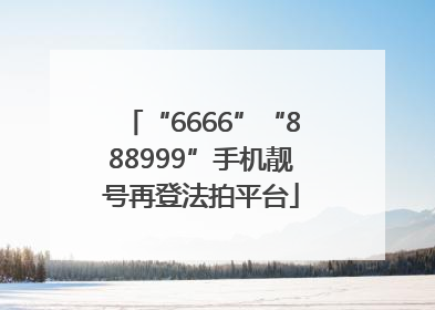 “6666”“888999”手机靓号再登法拍平台